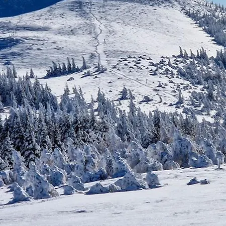 Apartment Skis Aux Pieds, F2+cabine Au 20eme Etage - Fr-1-814-25 Besse-et-Saint-Anastaise