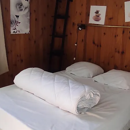 Skis Aux Pieds, F2+cabine Au 20ème étage - Fr-1-814-25 Super-Besse