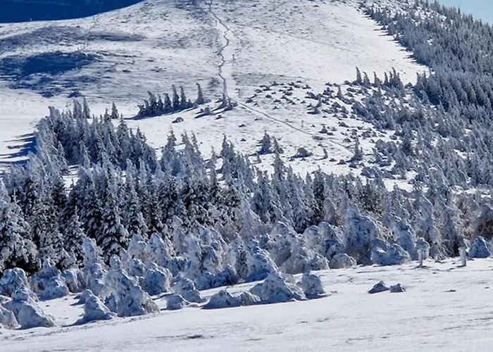 Appartement Skis Aux Pieds, F2+cabine Au 20ème étage - Fr-1-814-25 Super-Besse