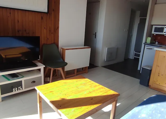 Appartement Skis Aux Pieds, F2+cabine Au 20ème étage - Fr-1-814-25 Super-Besse