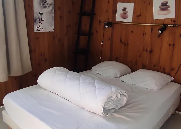 Skis Aux Pieds, F2+cabine Au 20ème étage - Fr-1-814-25 Super-Besse