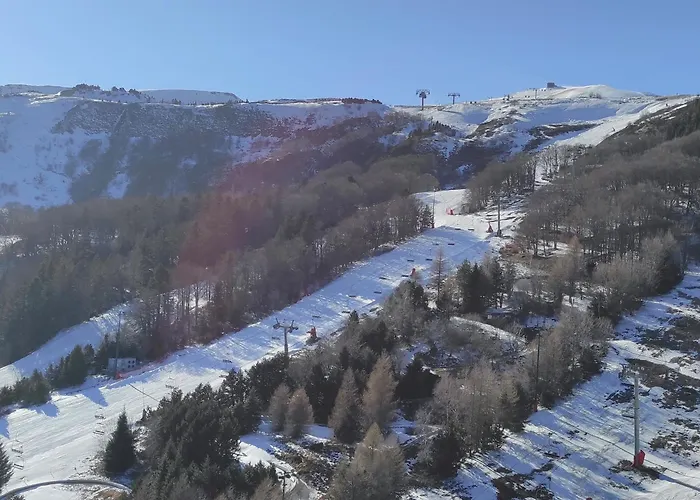 Skis Aux Pieds, F2+cabine Au 20ème étage - Fr-1-814-25 Appartement